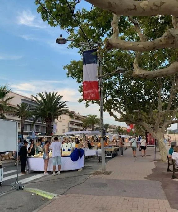Frejus Plage Paradis T1 Cabine Clim Terrasse Wi-Fi 0*,  France