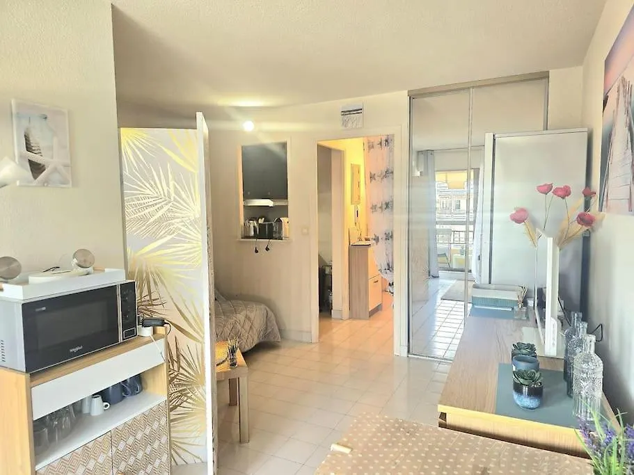 Apartment Frejus Plage Paradis T1 Cabine Clim Terrasse Wi-Fi